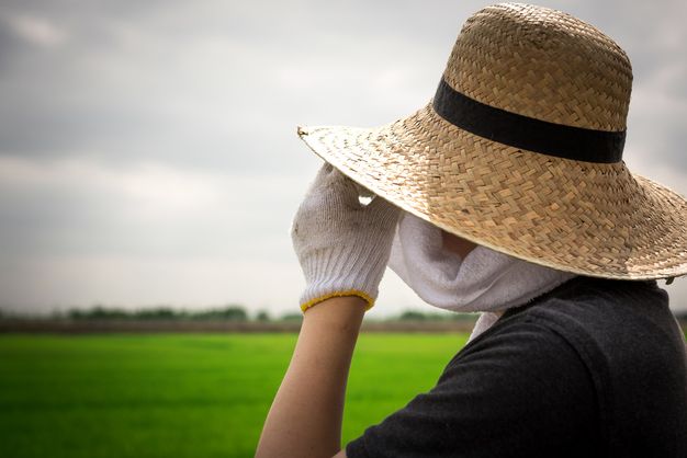 農業で働く5個のメリットややりがい これから就職や転職を考えたい人に向けて ジョブール