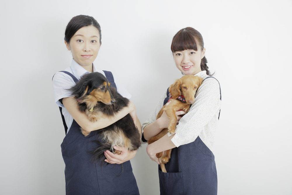ペットショップの仕事はどんな人に向いているの 仕事内容や向き不向き やりがいについて解説します ジョブール