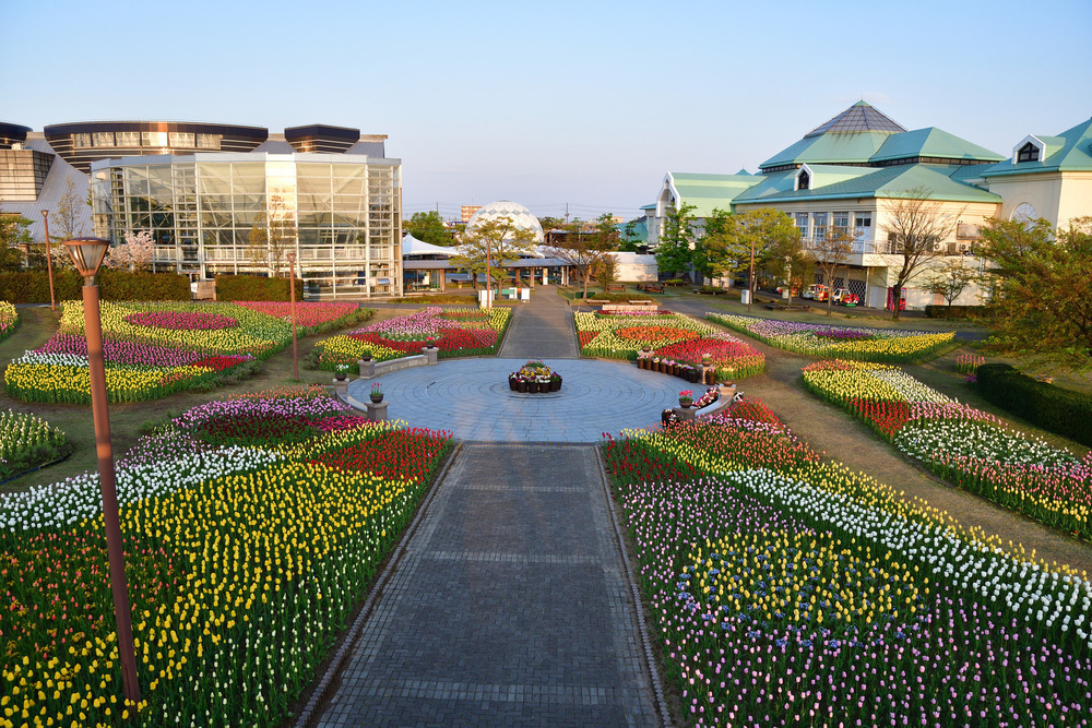 新潟求人で人気な職種や会社 エリアや年収相場を解説 新潟で働くならこれ ジョブール