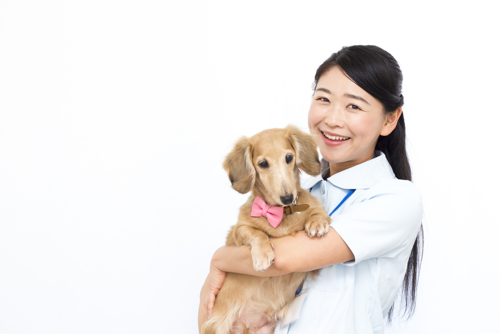 動物病院受付の求人の募集内容 おすすめ求人のポイントややりがい 注意点などを経験者が紹介します ジョブール