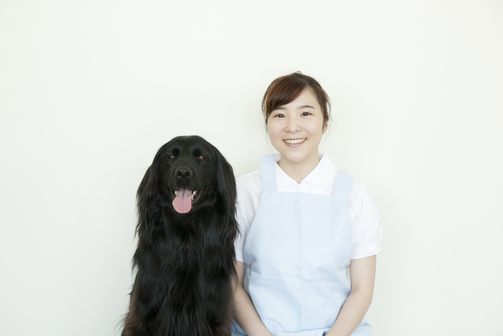 動物病院受付の求人の募集内容 おすすめ求人のポイントややりがい 注意点などを経験者が紹介します ジョブール