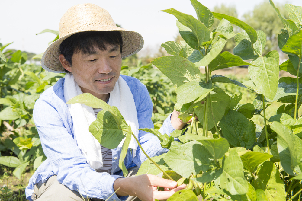 農業の仕事内容とは 13個の作業内容や向き不向き メリットについて解説します ジョブール